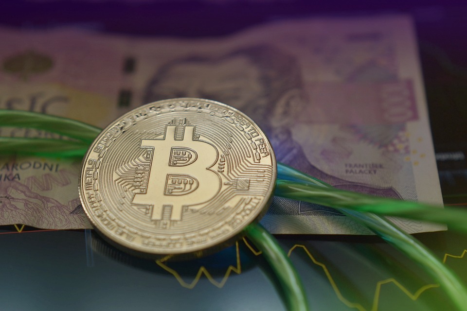 比特币减半满周年、涨逾三成！机构进场加速牛市